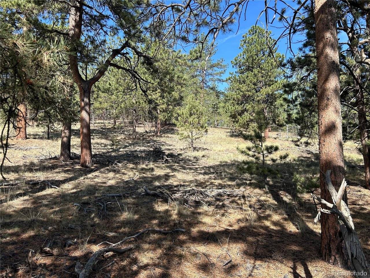 565 Hayhook, Hartsel, CO 80449