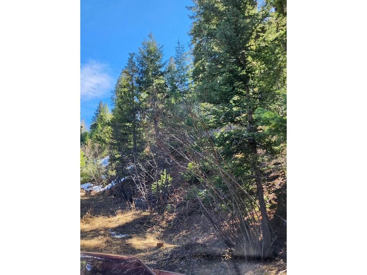 10151 Coronado, Morrison, CO 80465