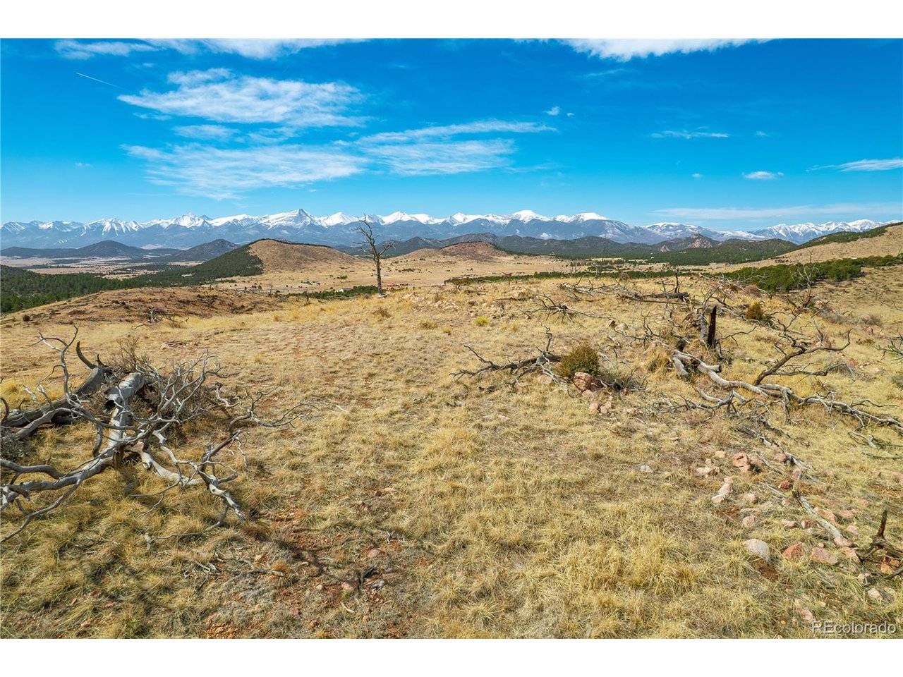 31st, Cotopaxi, CO 81223