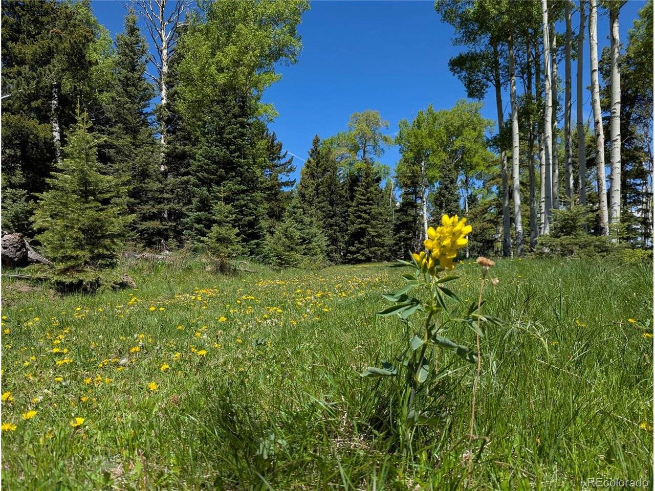 3119 Segal, Fort Garland, CO 81133