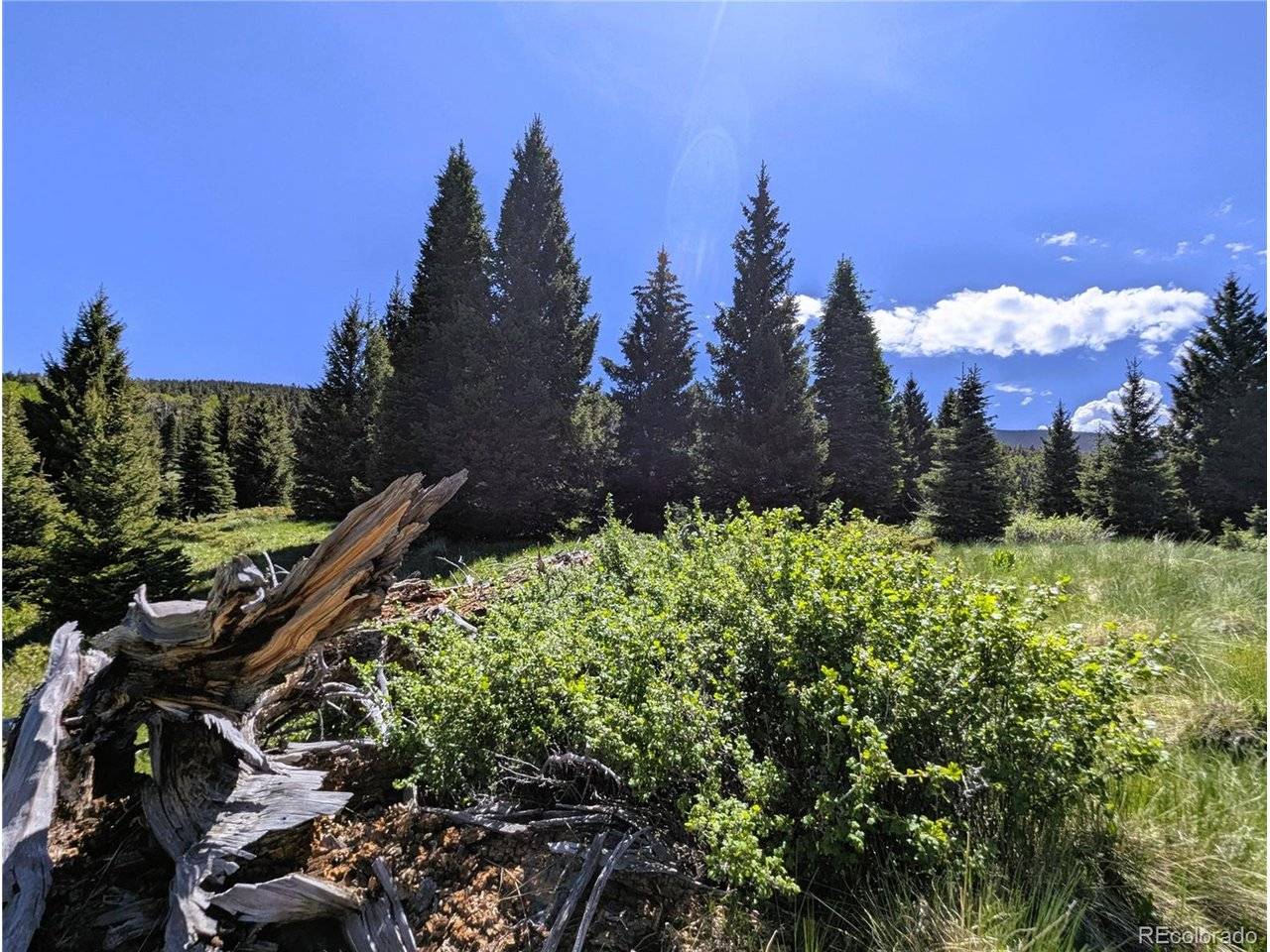 3119 Segal, Fort Garland, CO 81133