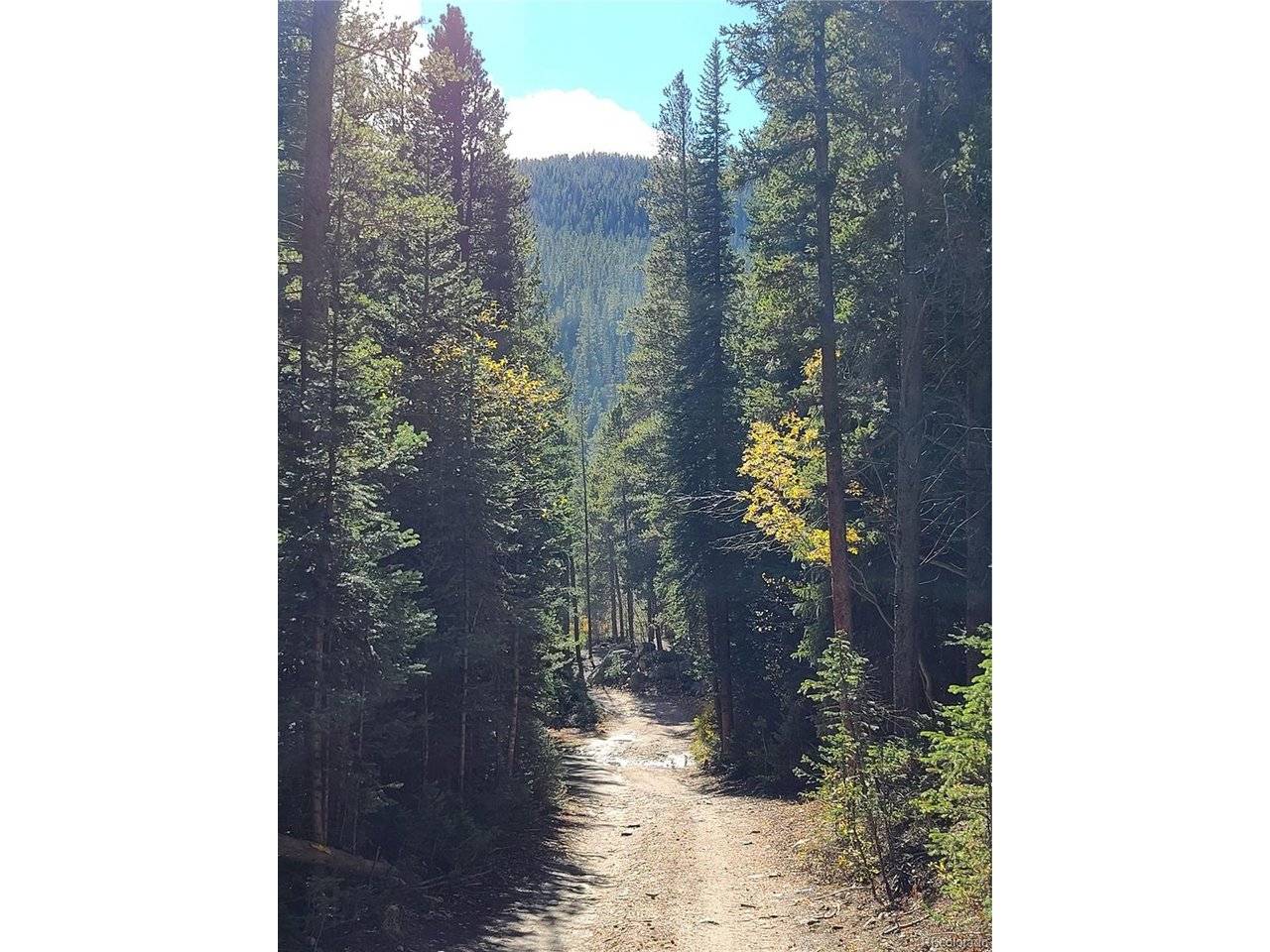 4 Rainbow, Idaho Springs, CO 80452