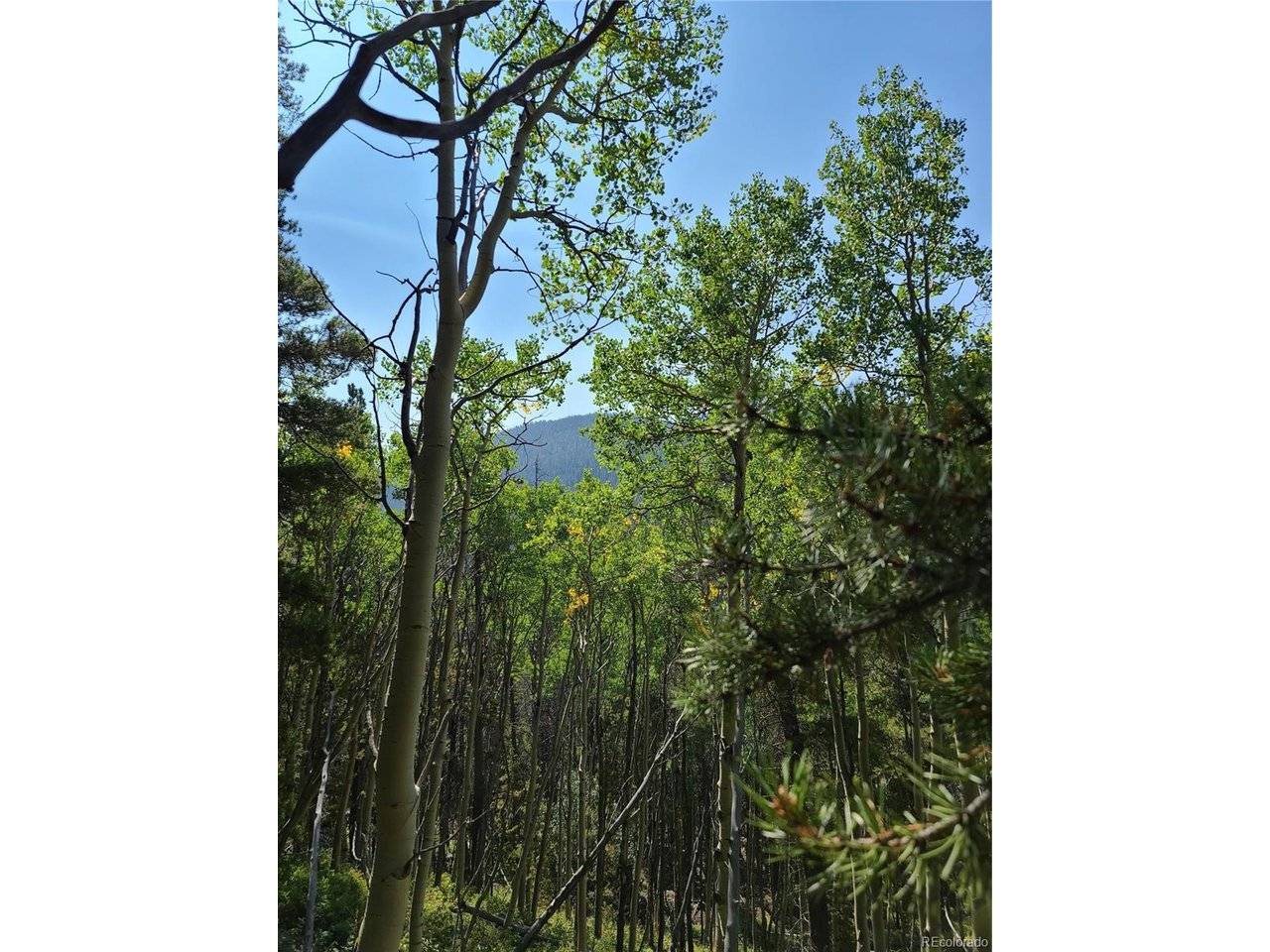 4 Rainbow, Idaho Springs, CO 80452