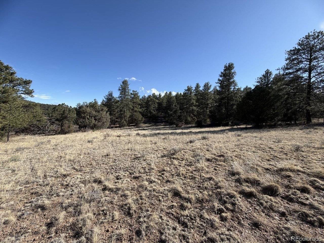 0 Canyon, Cotopaxi, CO 81223