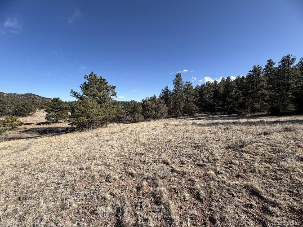 0 Canyon, Cotopaxi, CO 81223