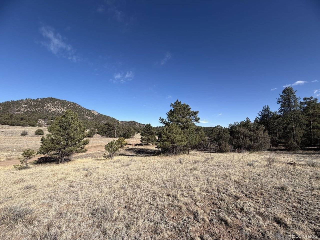 0 Canyon, Cotopaxi, CO 81223