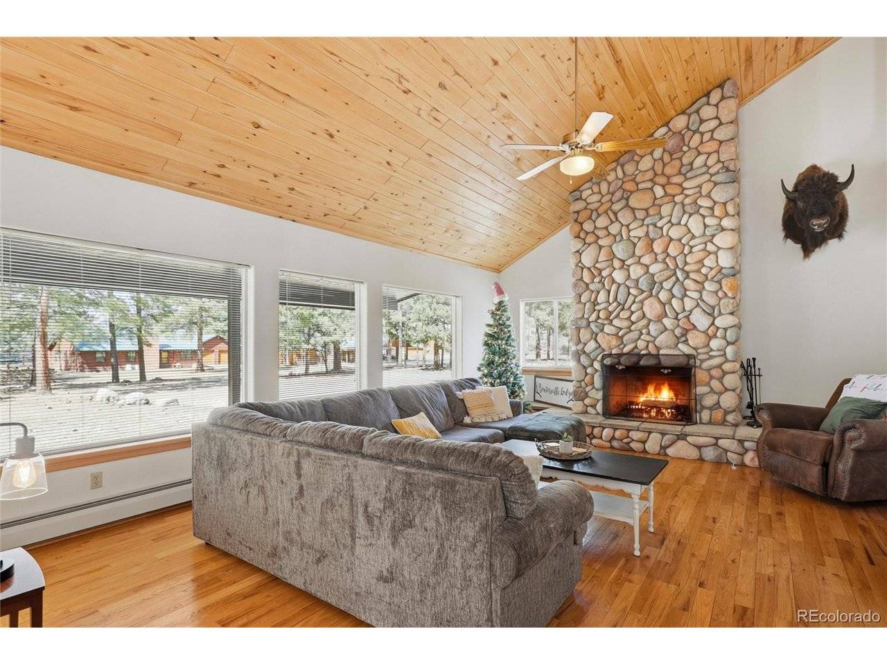 100 Spruce, South Fork, CO 81154