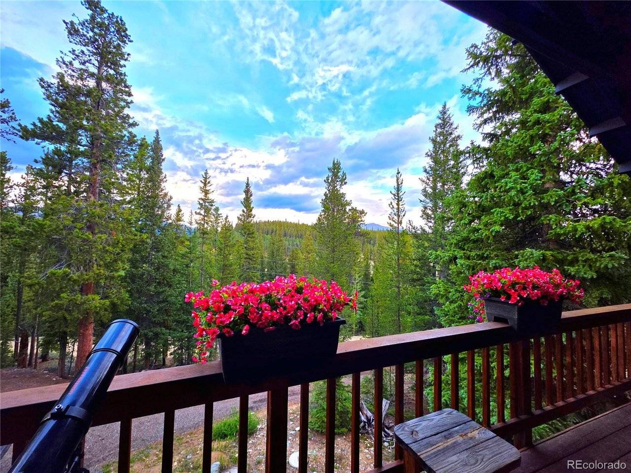 211 Pine Ridge, Alma, CO 80420