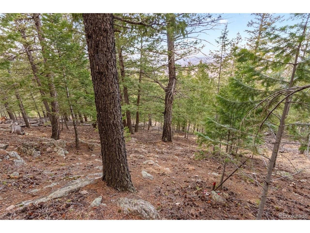 0 Upper Moss Rock, Golden, CO 80401