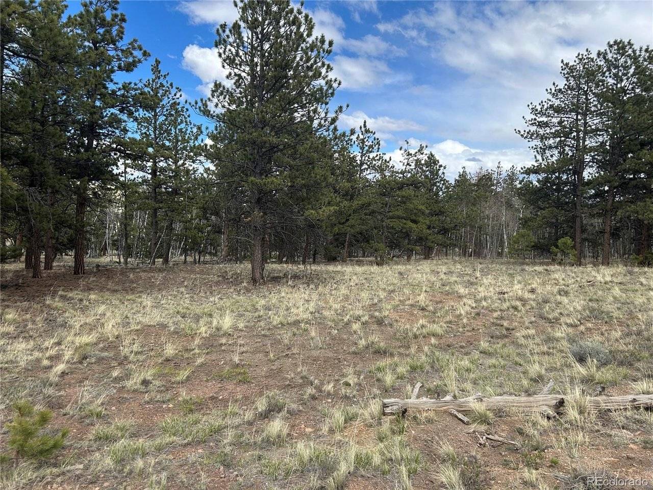 97 Chap, Hartsel, CO 80449