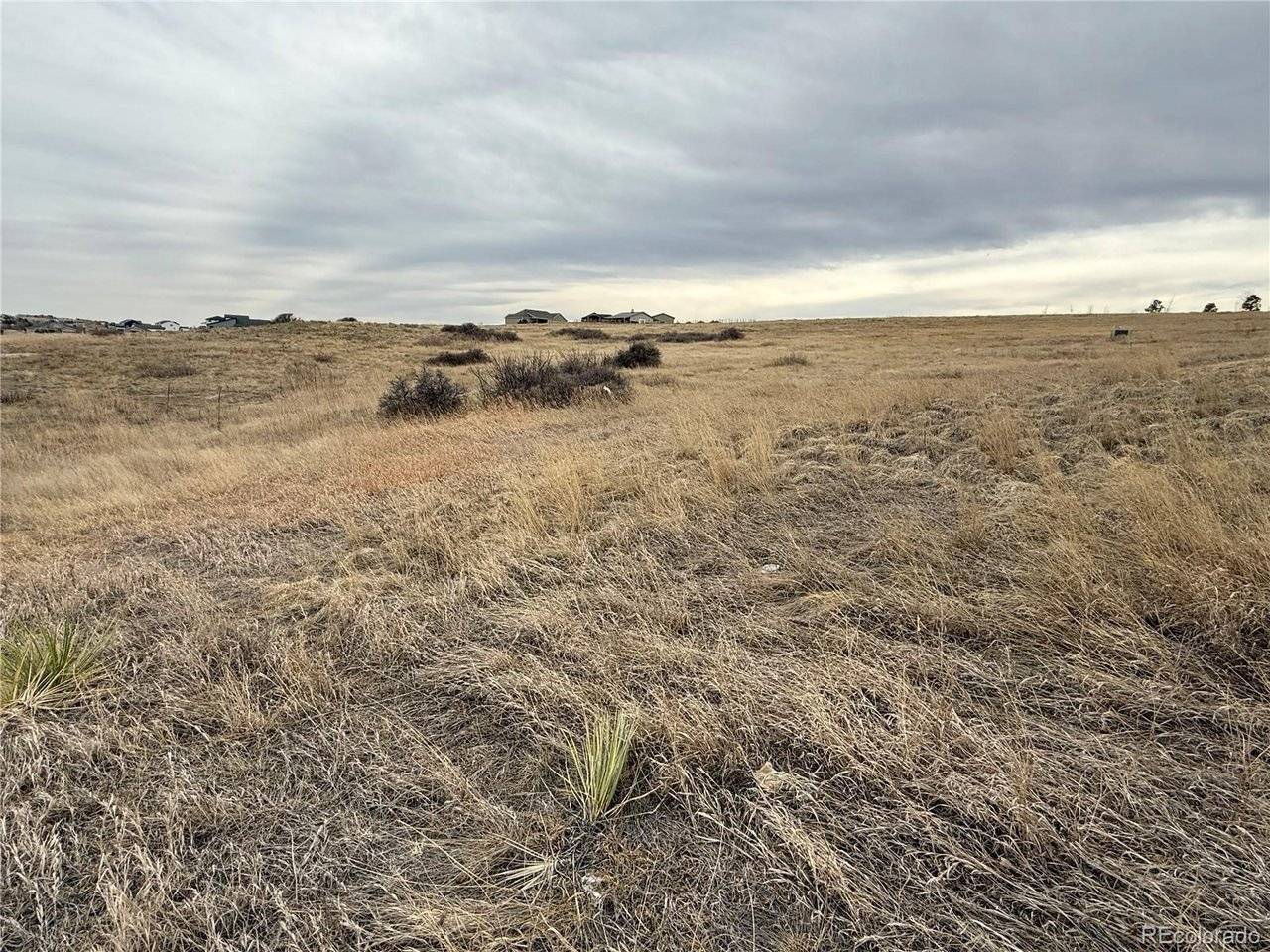 2427 Elkhorn Ranch, Parker, CO 80138