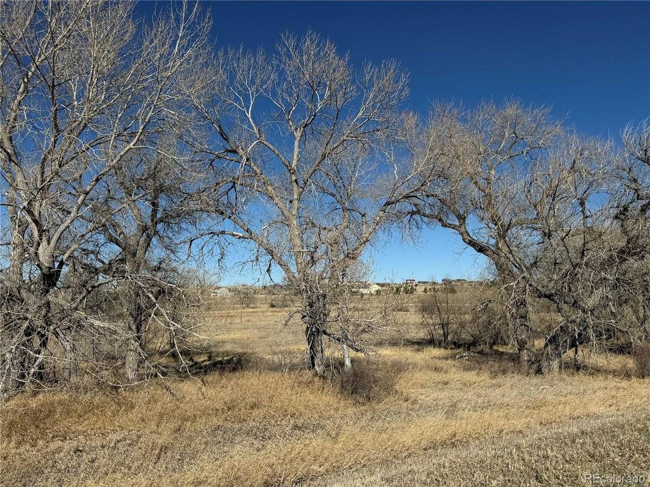 2427 Elkhorn Ranch, Parker, CO 80138