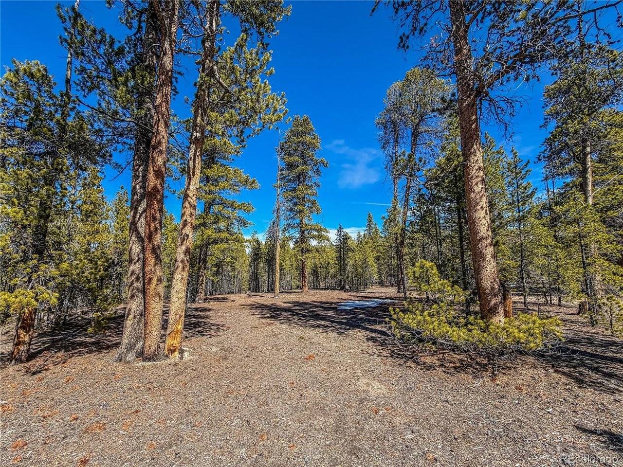 199 Cedar, Twin Lakes, CO 81251