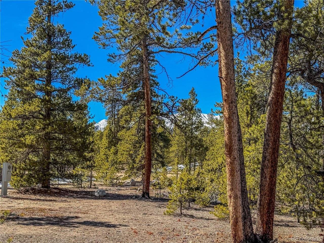 199 Cedar, Twin Lakes, CO 81251