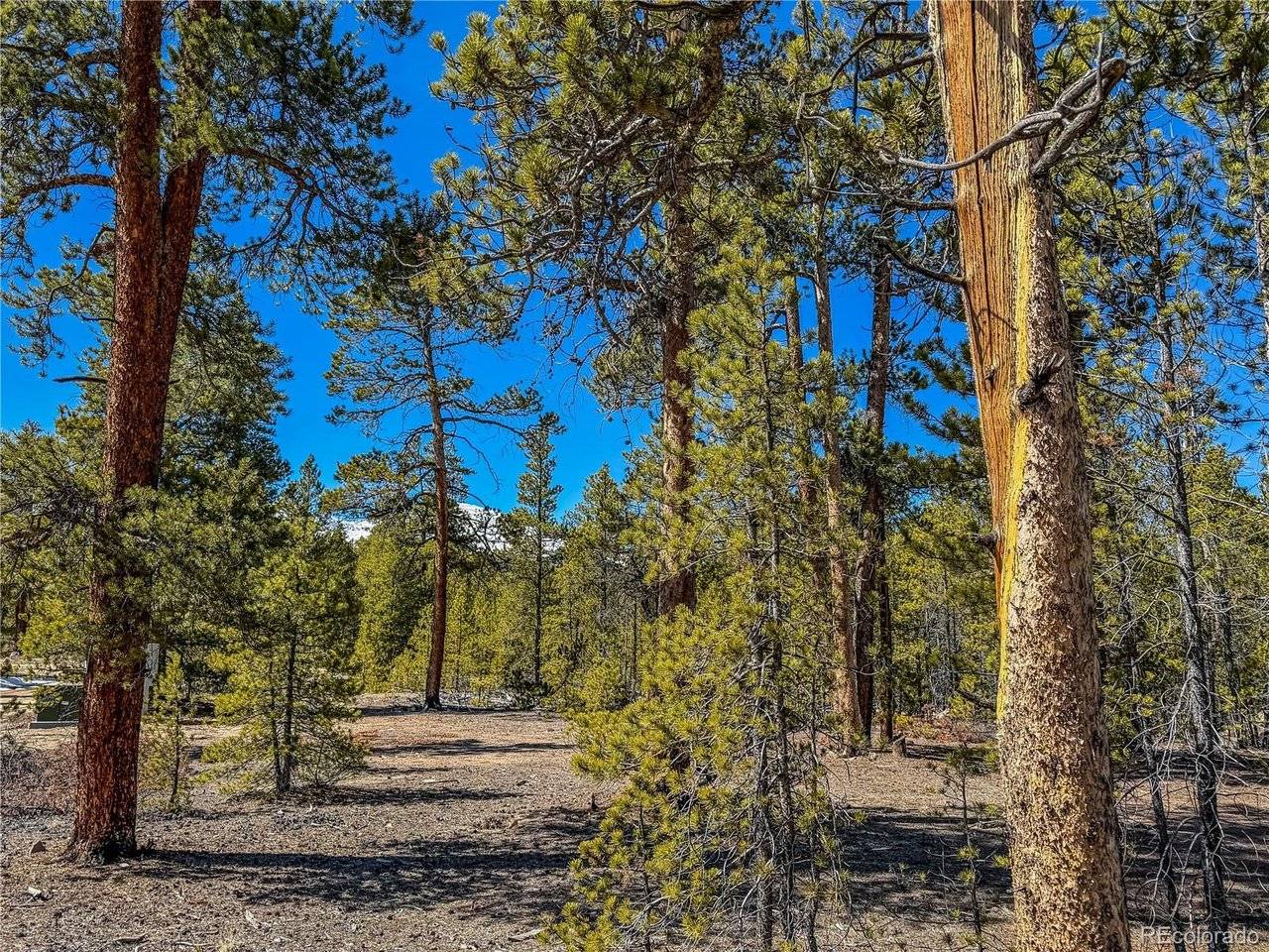 199 Cedar, Twin Lakes, CO 81251