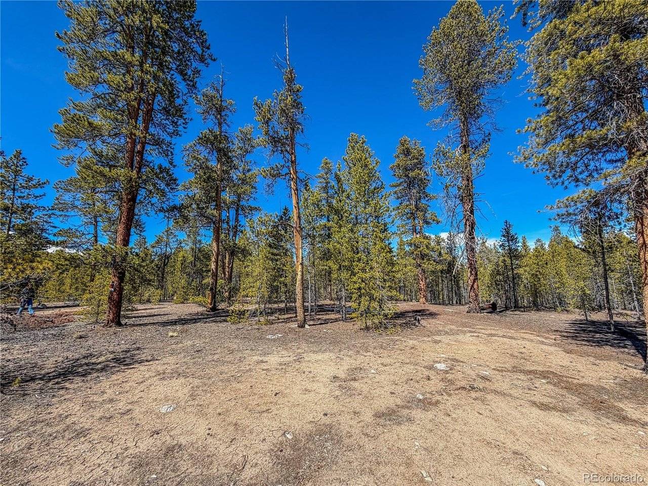 199 Cedar, Twin Lakes, CO 81251