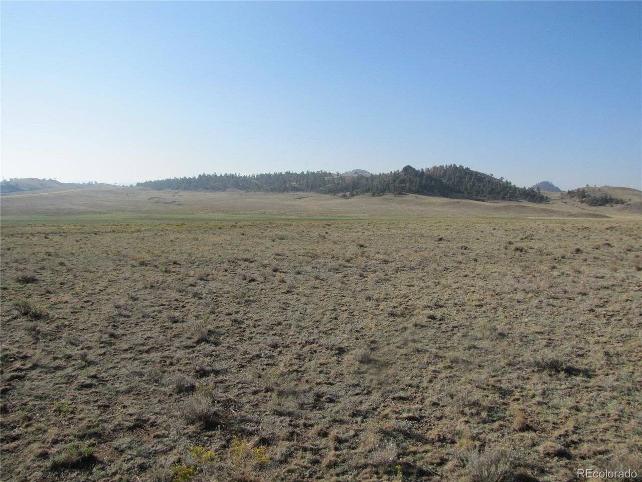 0 Buffalo, Hartsel, CO 80449