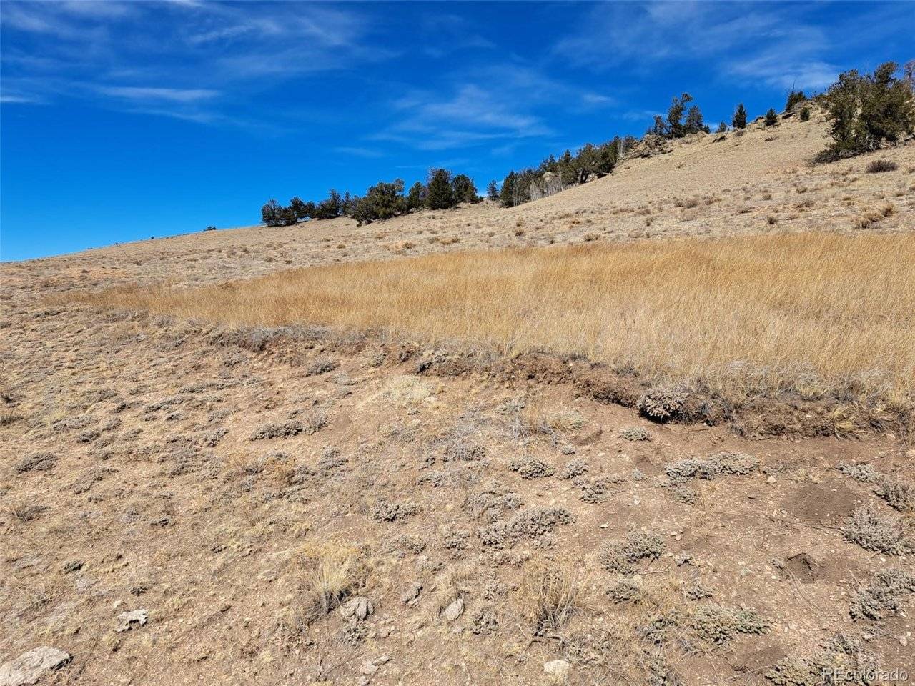 3646 Remington, Como, CO 80432