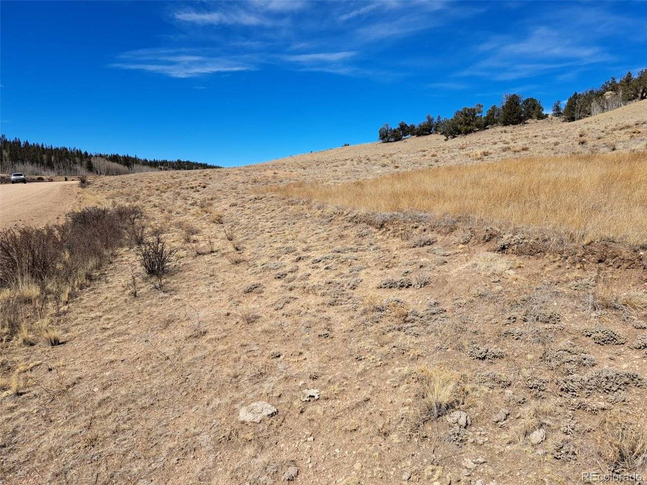 3646 Remington, Como, CO 80432