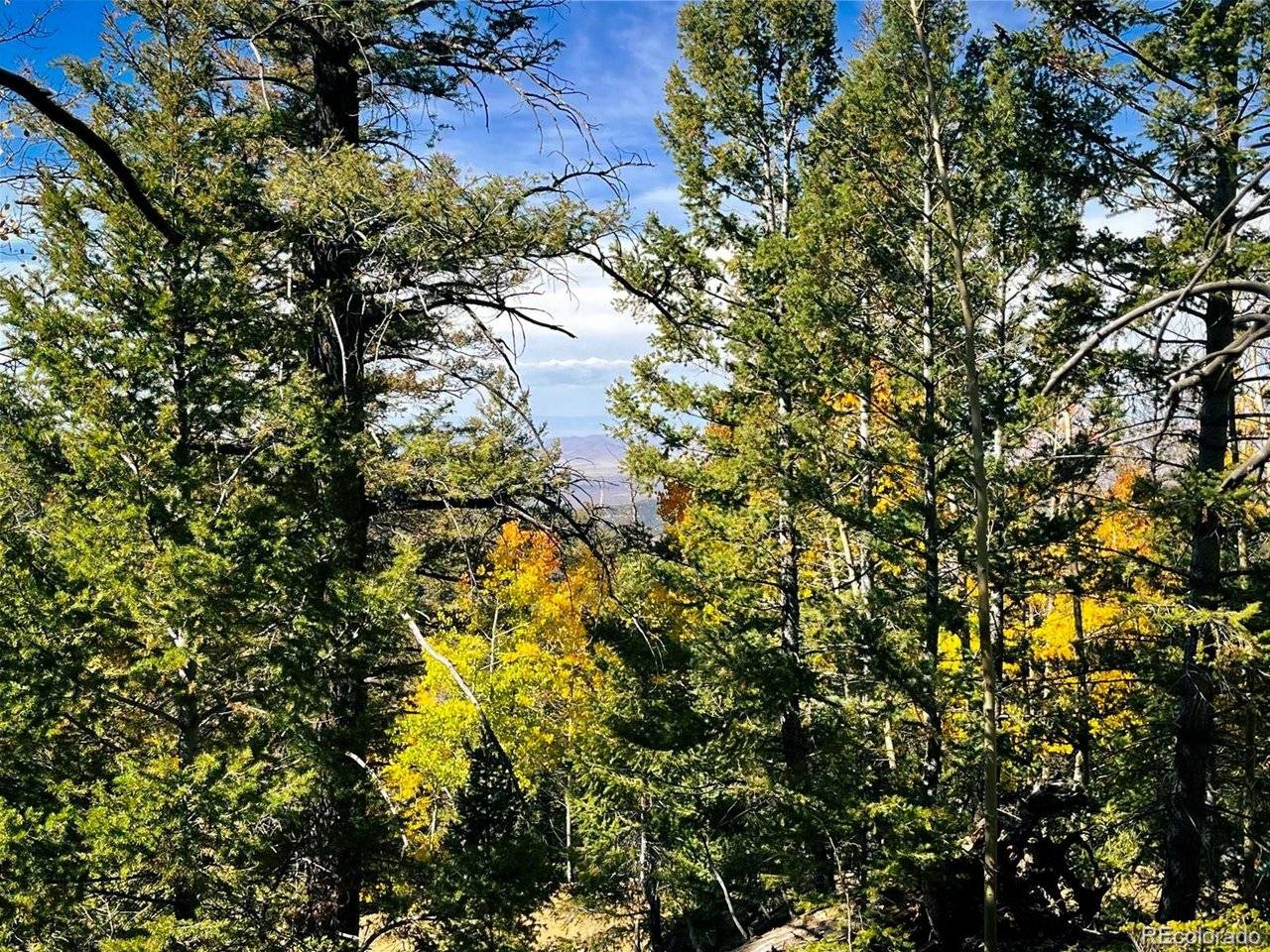 6187 Starkbeather, Fort Garland, CO 81133