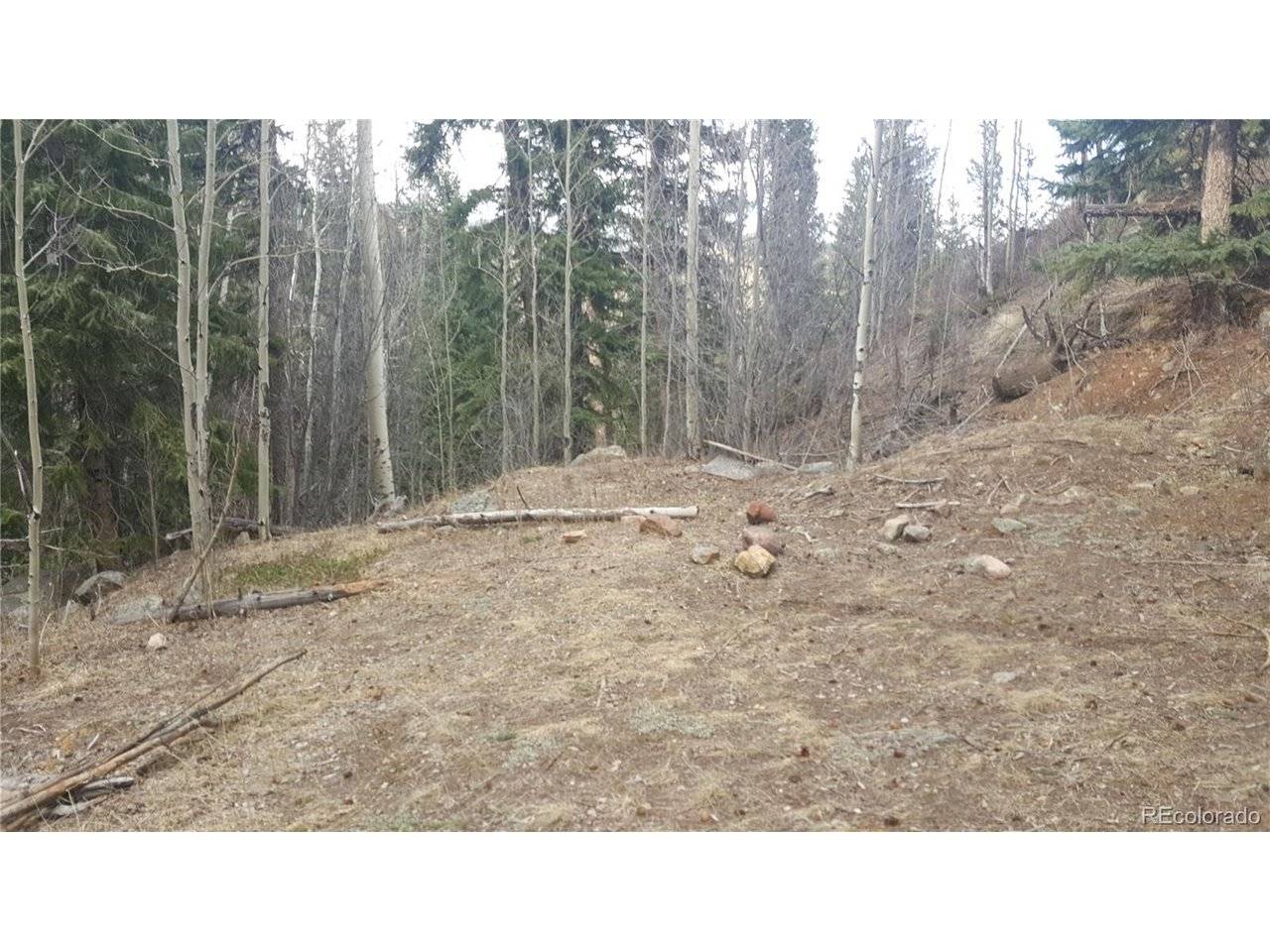 0 Ohio Gulch, Dumont, CO 80436