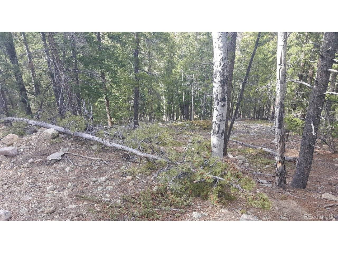 0 Ohio Gulch, Dumont, CO 80436