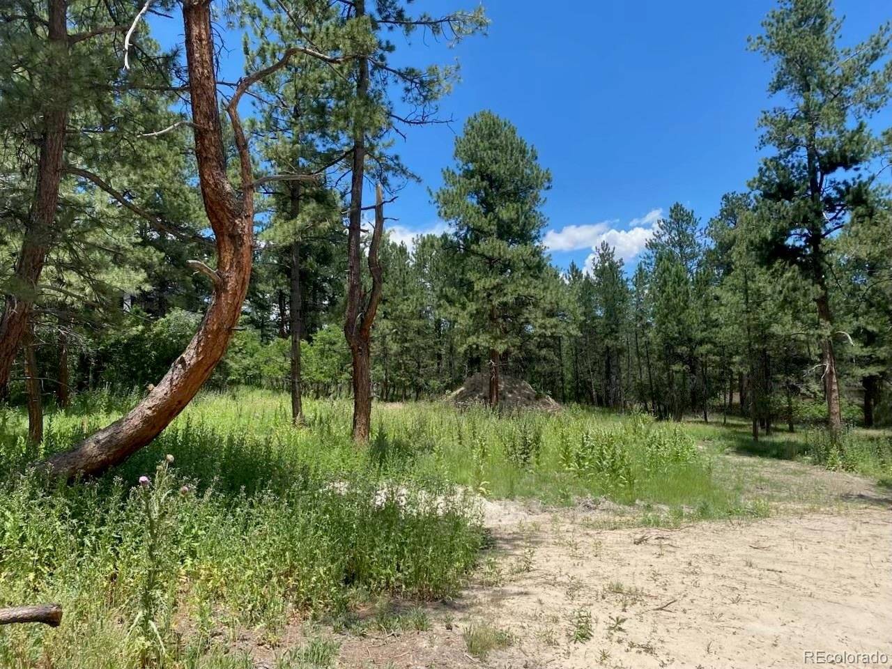 1025 Tenderfoot, Larkspur, CO 80118
