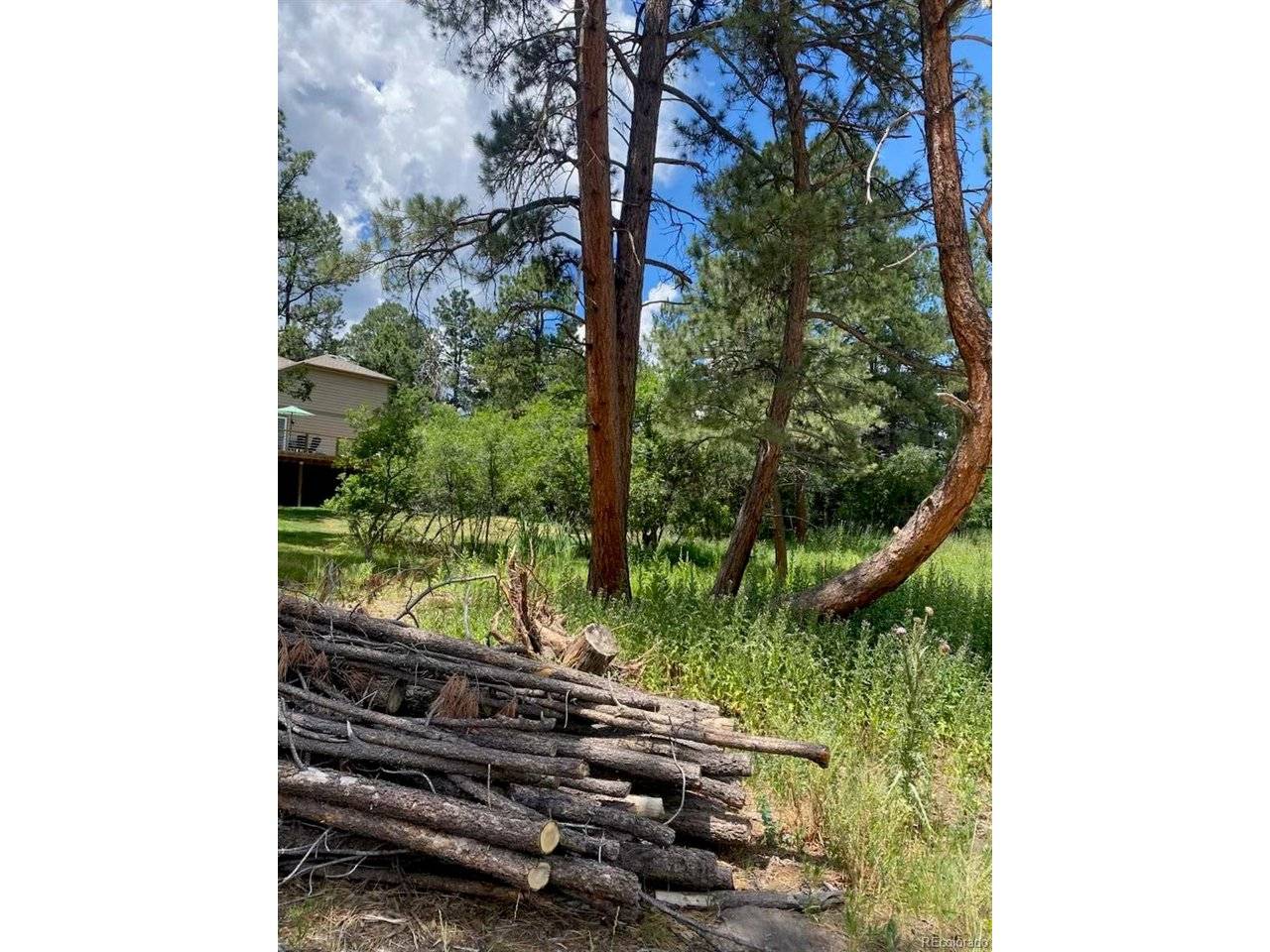1025 Tenderfoot, Larkspur, CO 80118