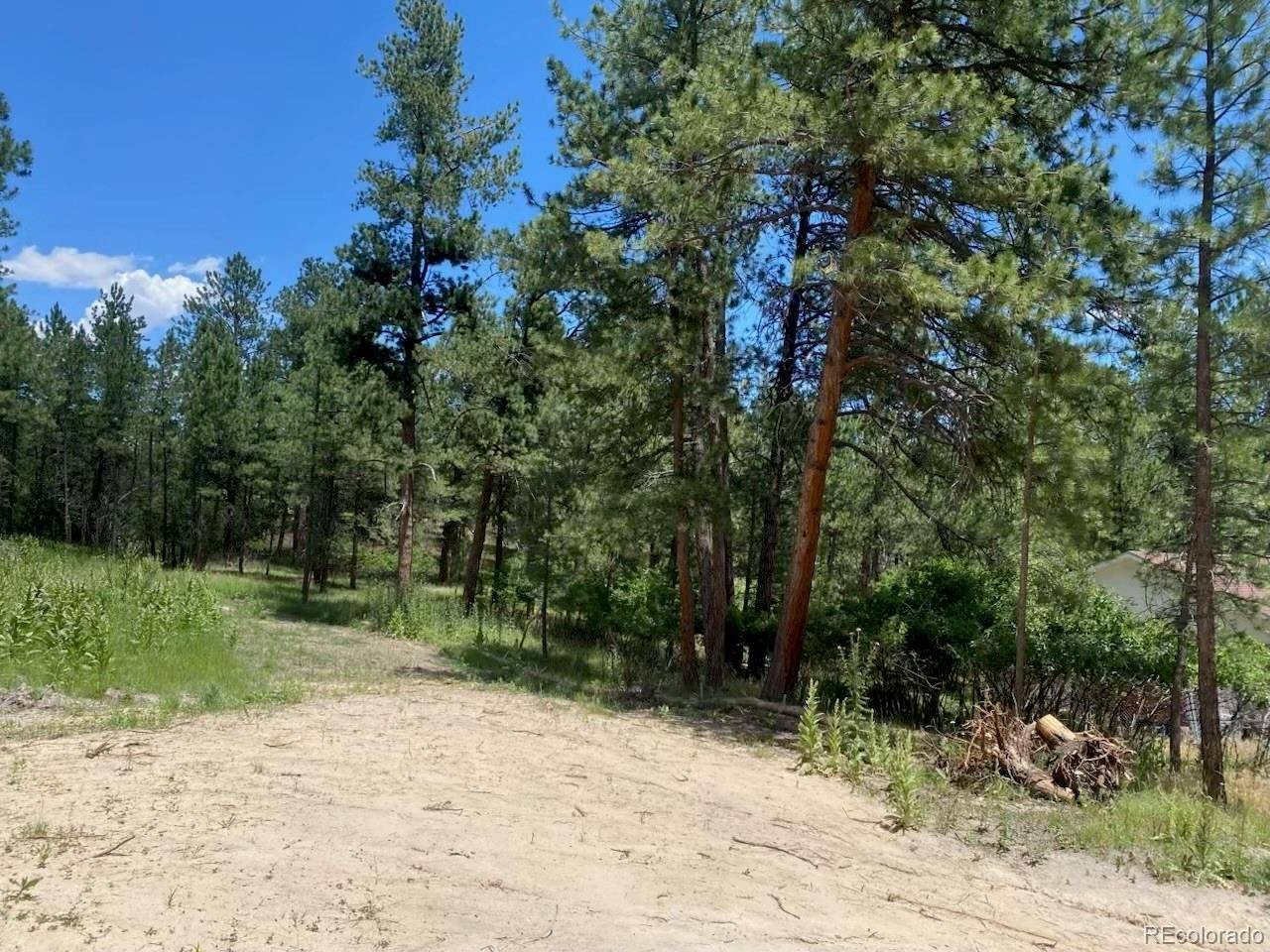 1025 Tenderfoot, Larkspur, CO 80118