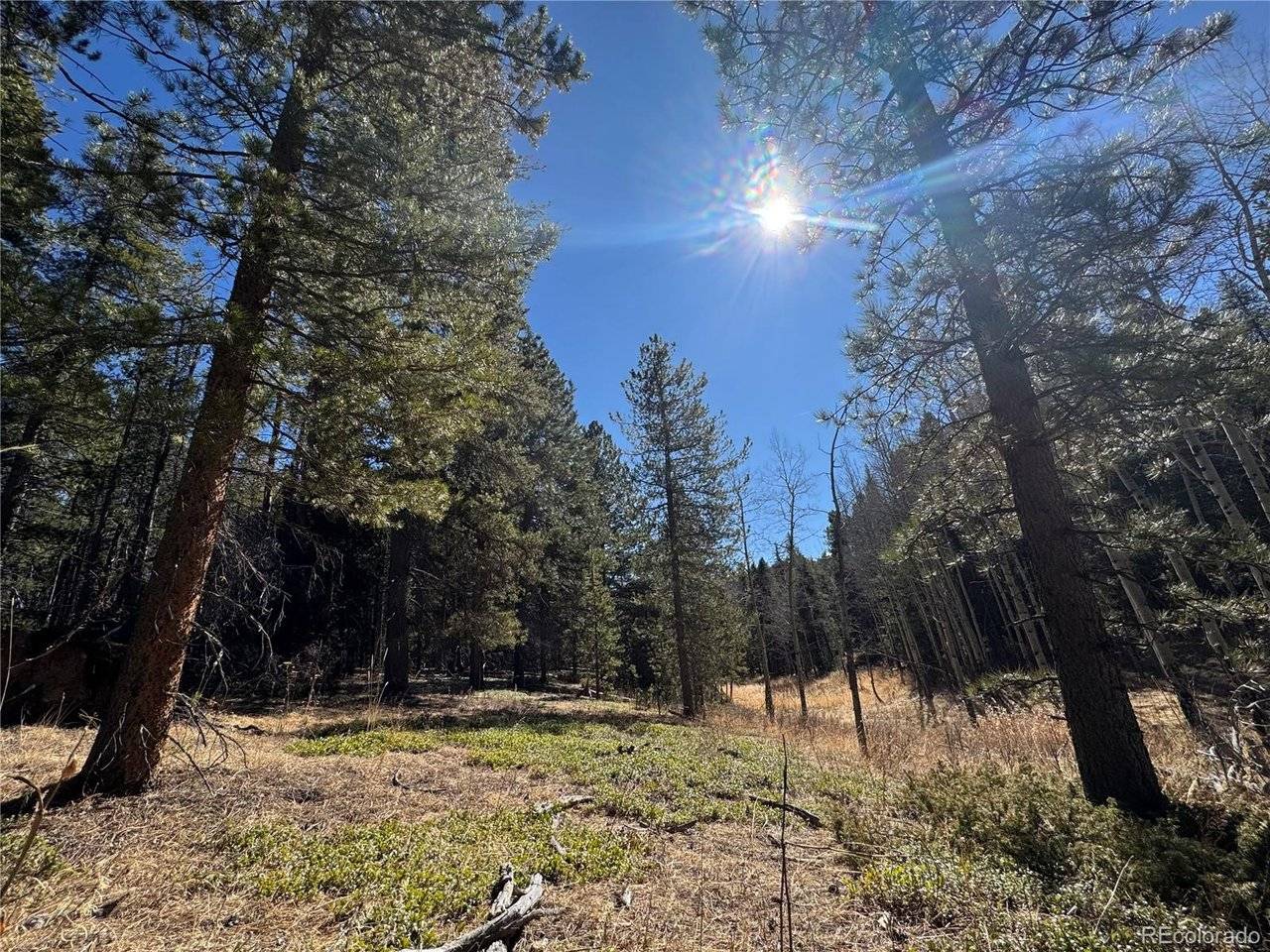 Lot 14X Wallace, Conifer, CO 80433