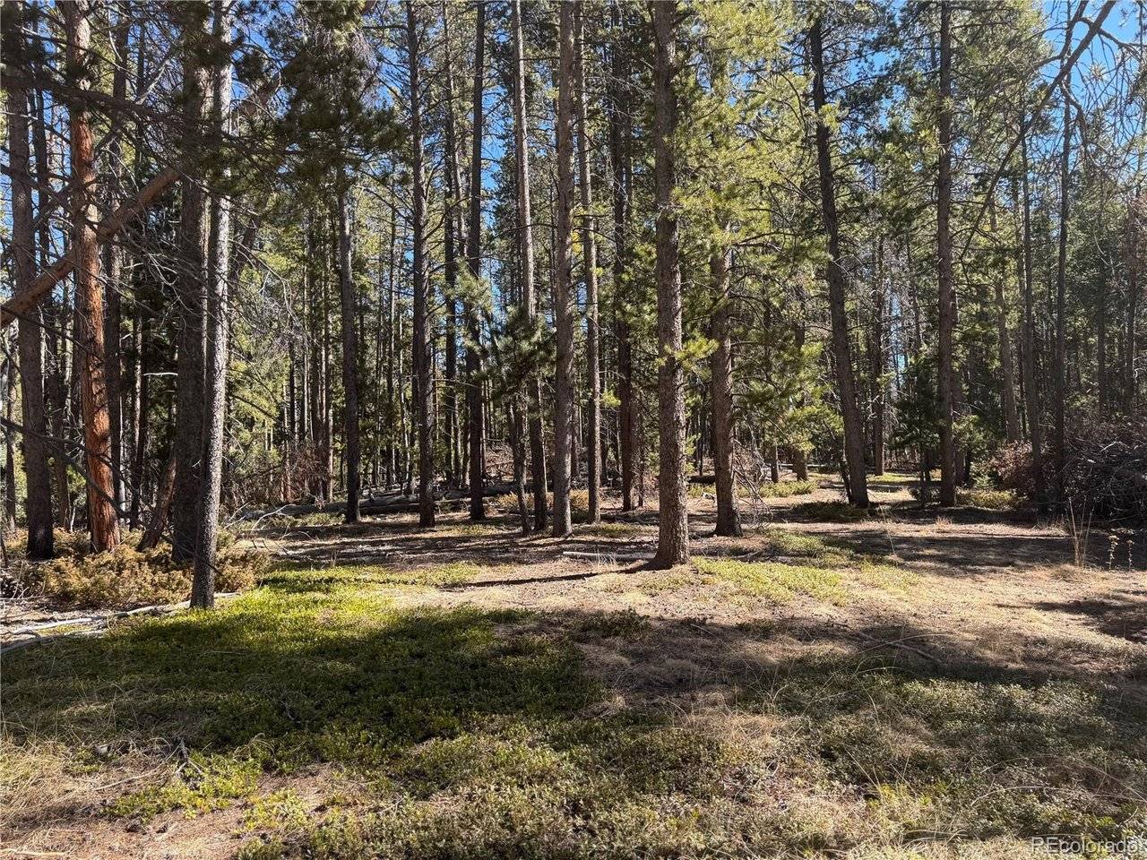Lot 14X Wallace, Conifer, CO 80433