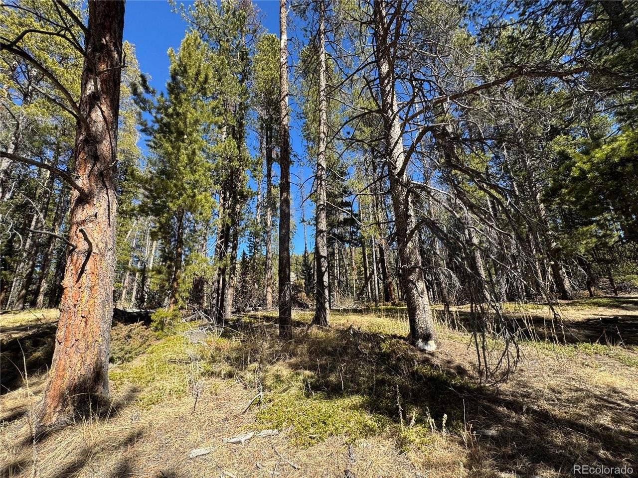 Lot 14X Wallace, Conifer, CO 80433