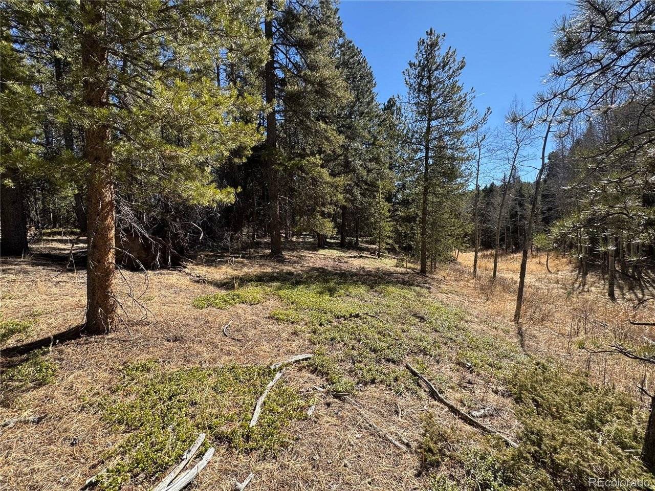 Lot 14X Wallace, Conifer, CO 80433