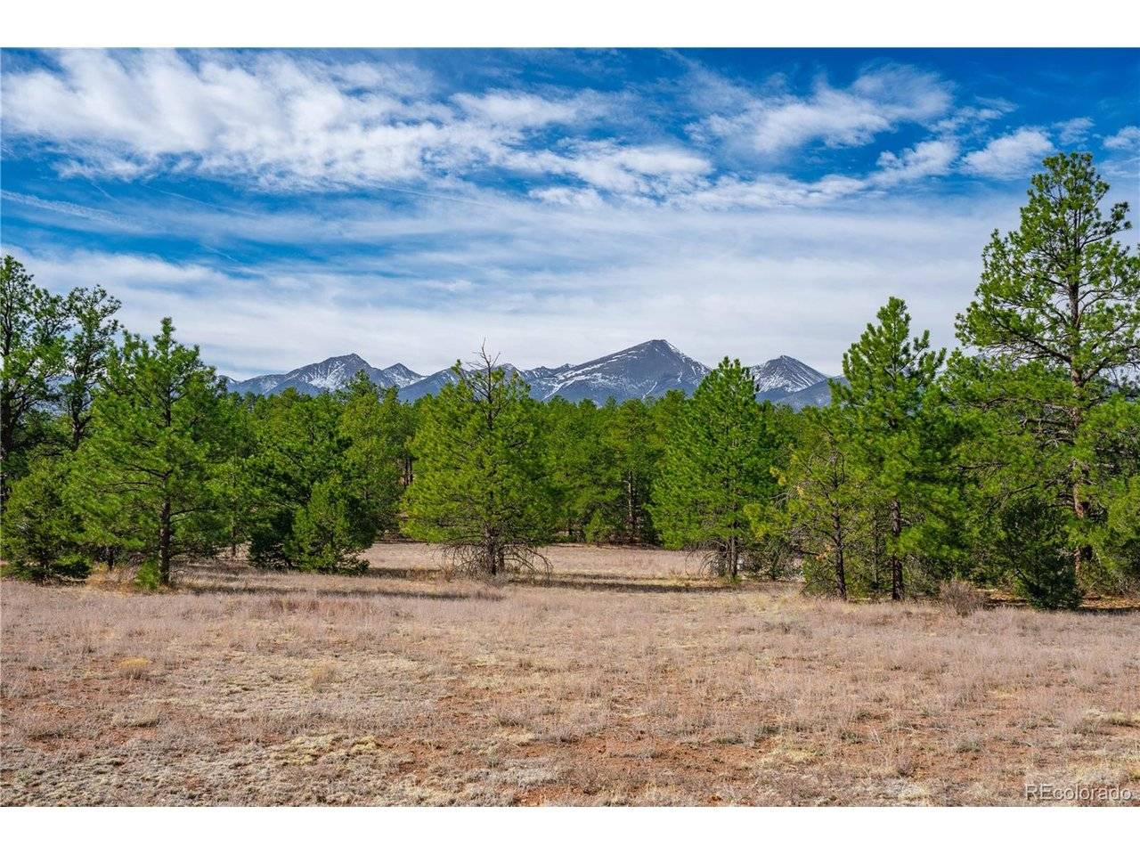 870 Oak, Westcliffe, CO 81252