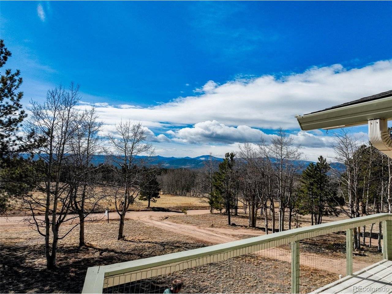 1874 Vagabond Creek, Lake George, CO 80827