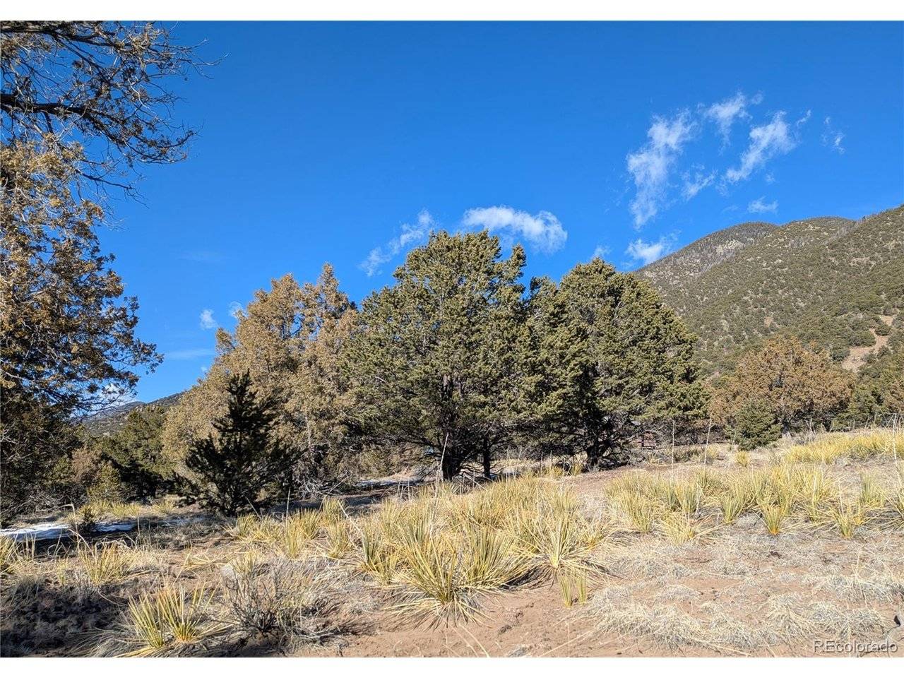 4229 Radiant, Crestone, CO 81131