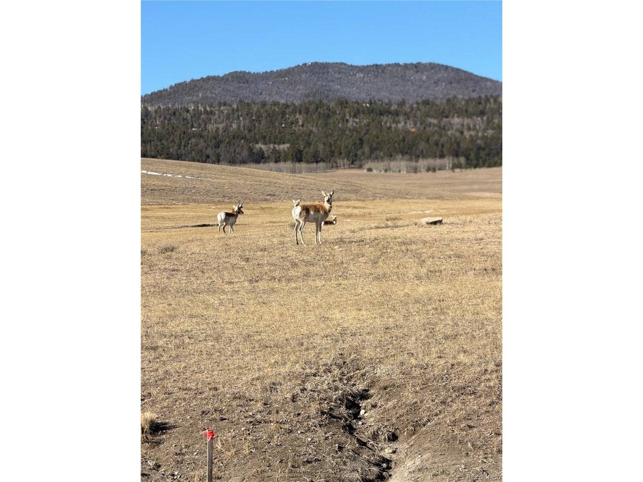3 Ranch, Hartsel, CO 80449