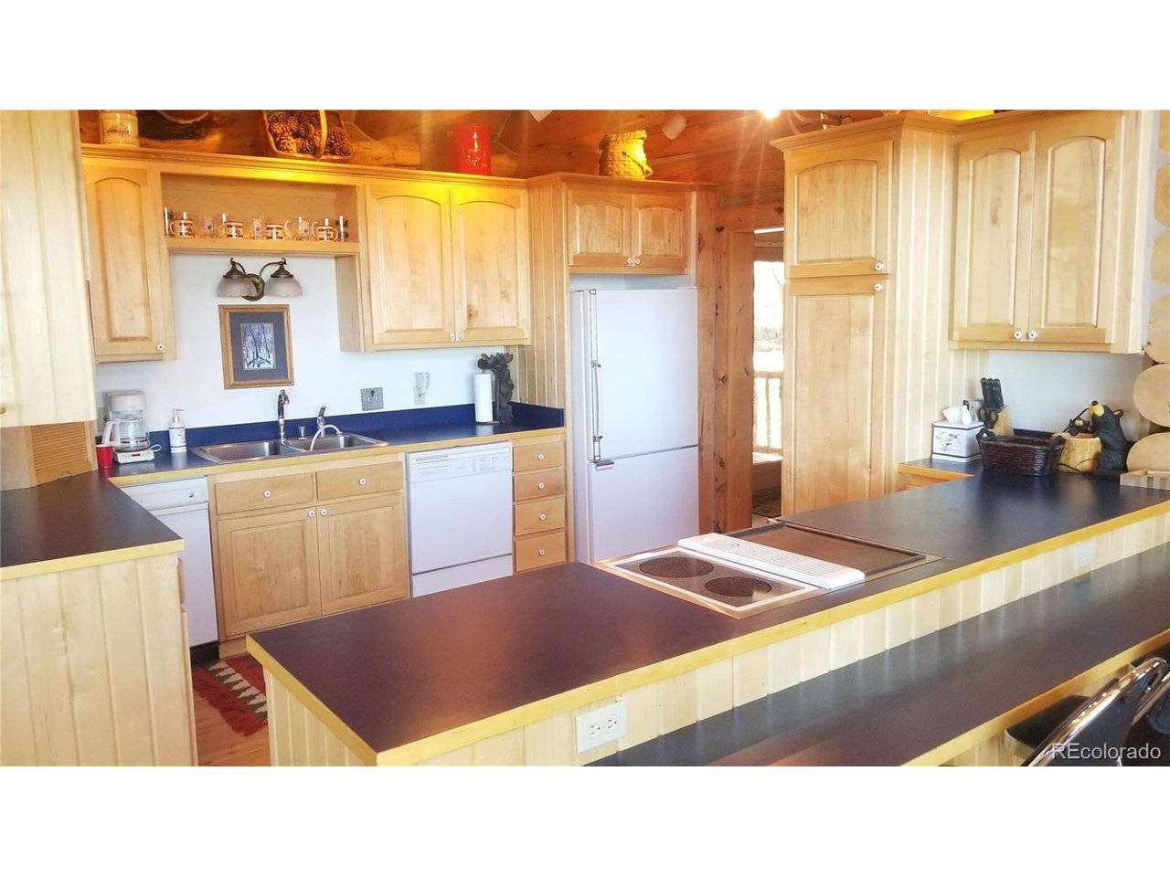 7891 County Road 25, Powderhorn, CO 81243