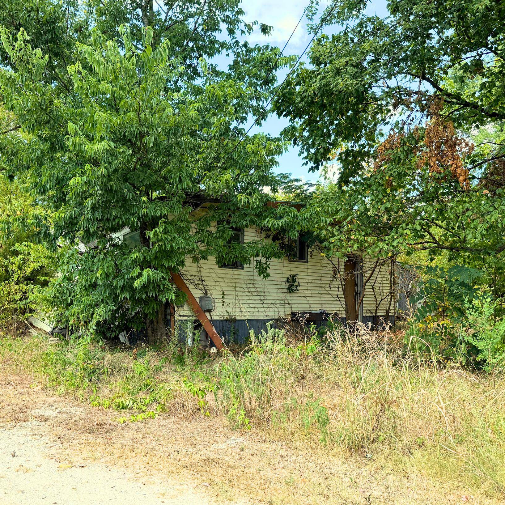 Address not disclosed, Everton, MO 65646