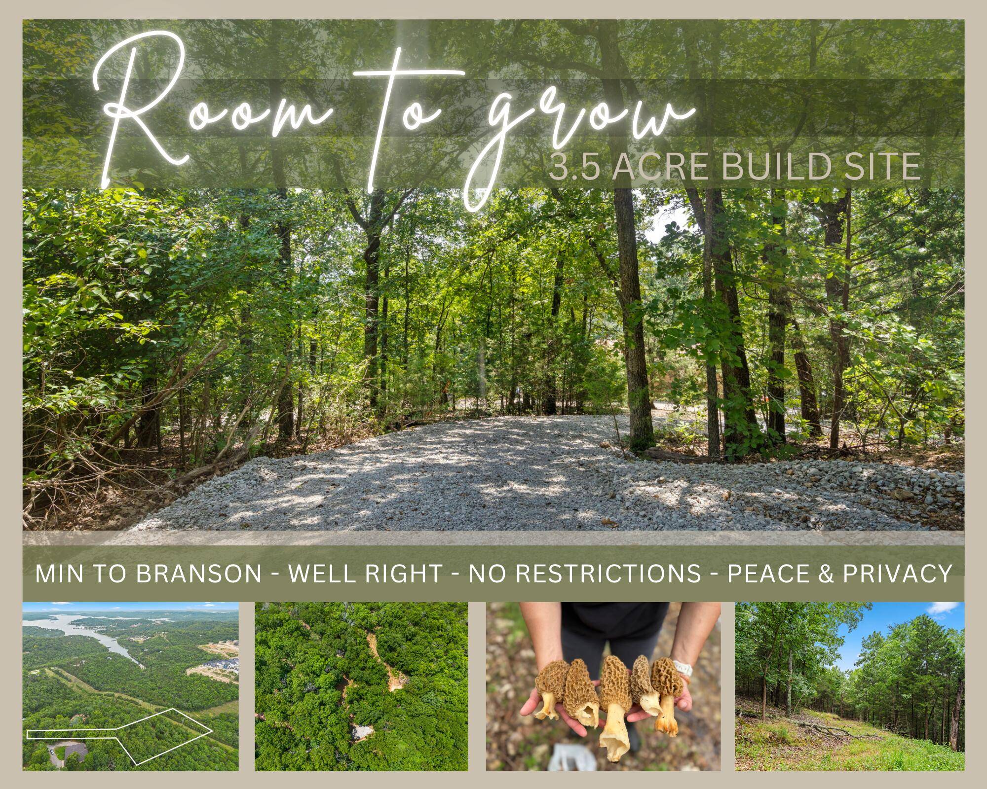 Tbd Wildlife TRL, Branson, MO 65616