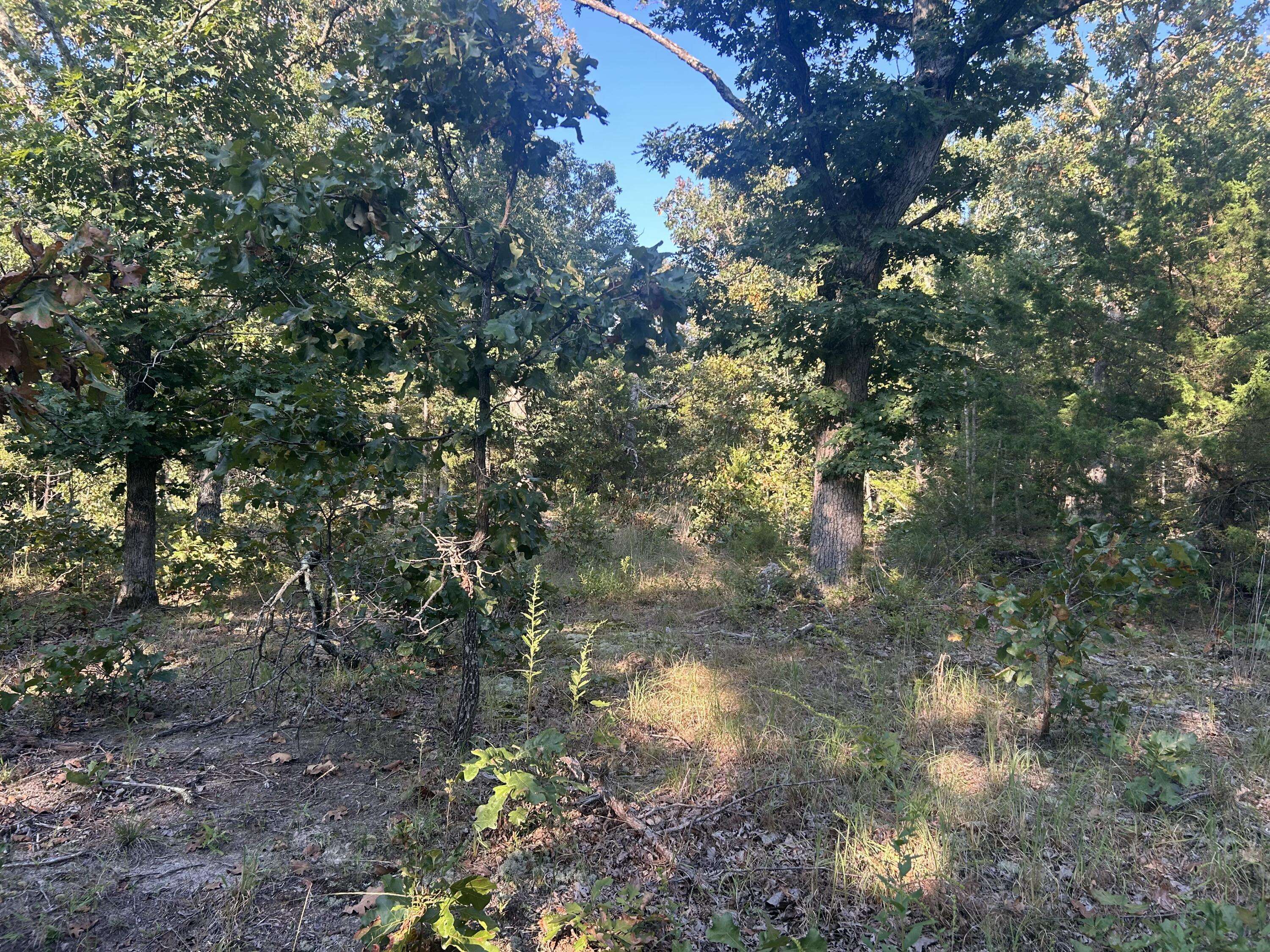 000 County Road 2340, Salem, MO 65560