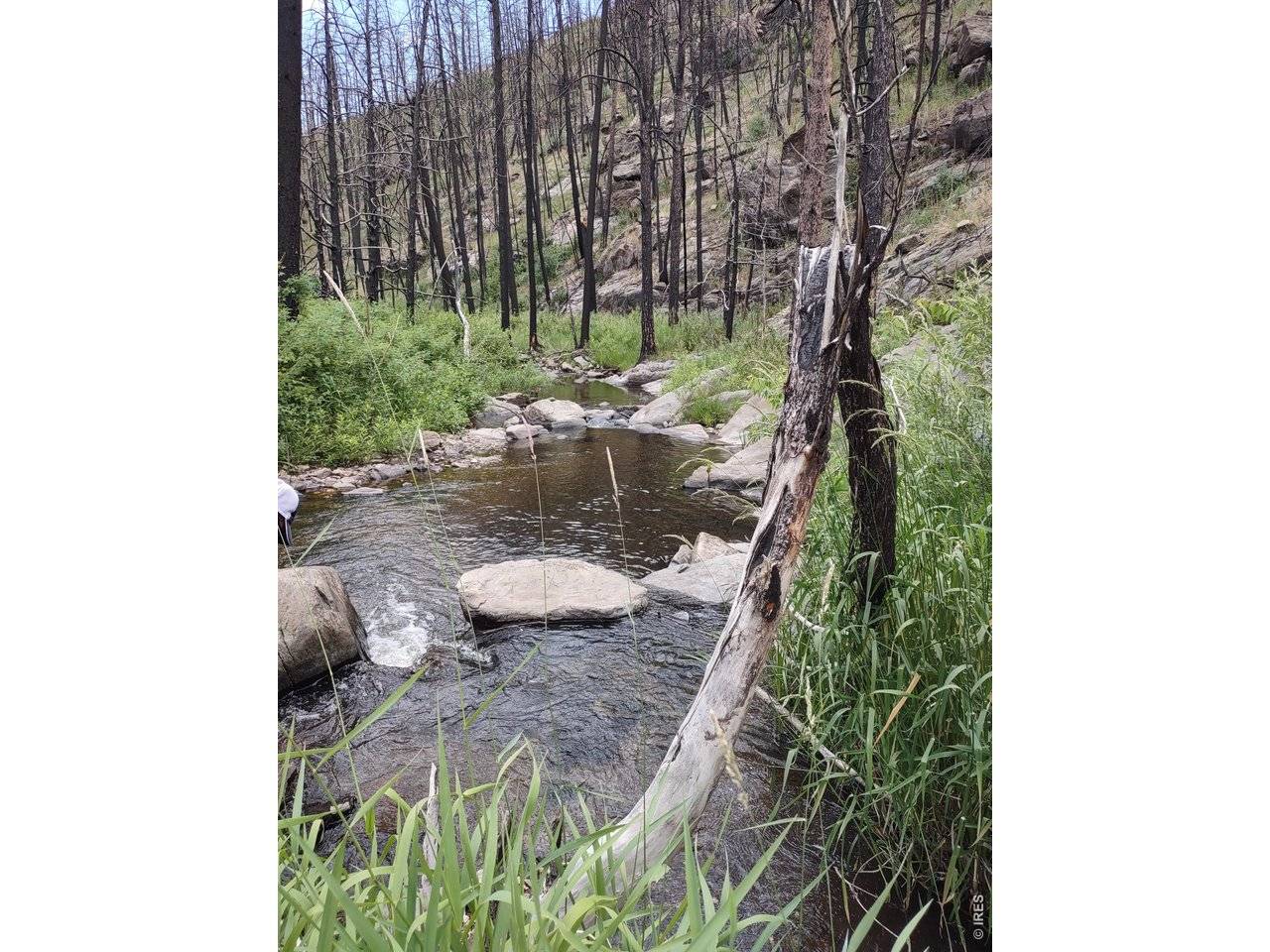 439 Redtail Ridge, Bellvue, CO 80512