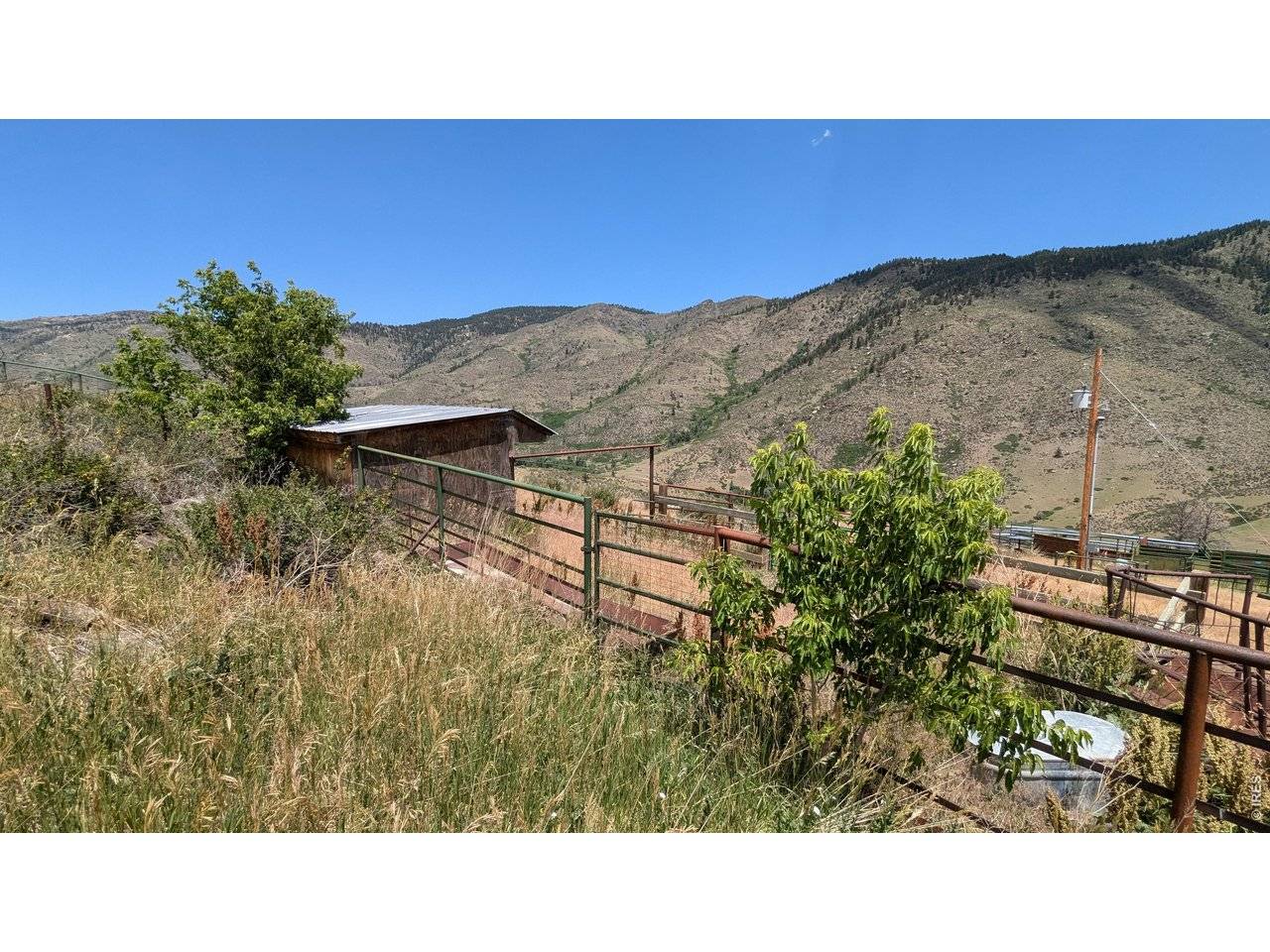 439 Redtail Ridge, Bellvue, CO 80512