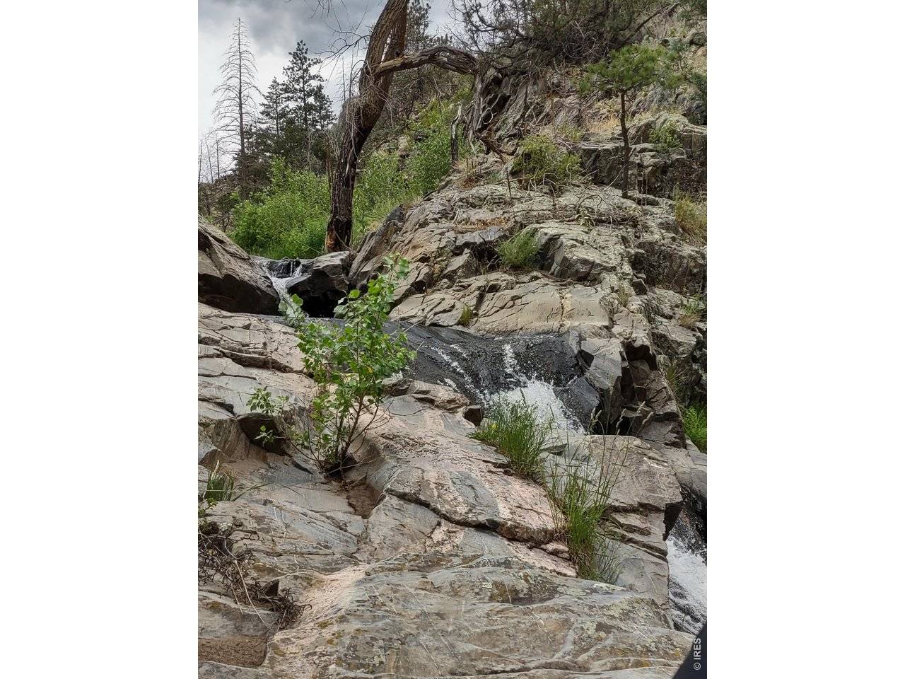 439 Redtail Ridge, Bellvue, CO 80512