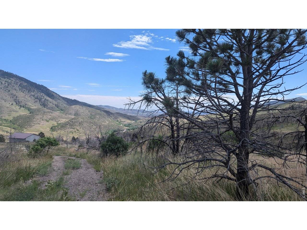 439 Redtail Ridge, Bellvue, CO 80512