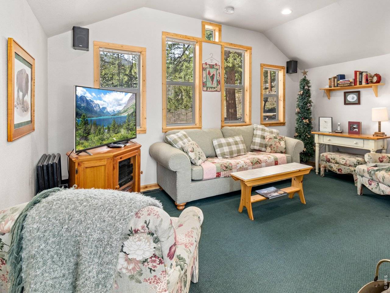 131 County Road 90, Allenspark, CO 80510