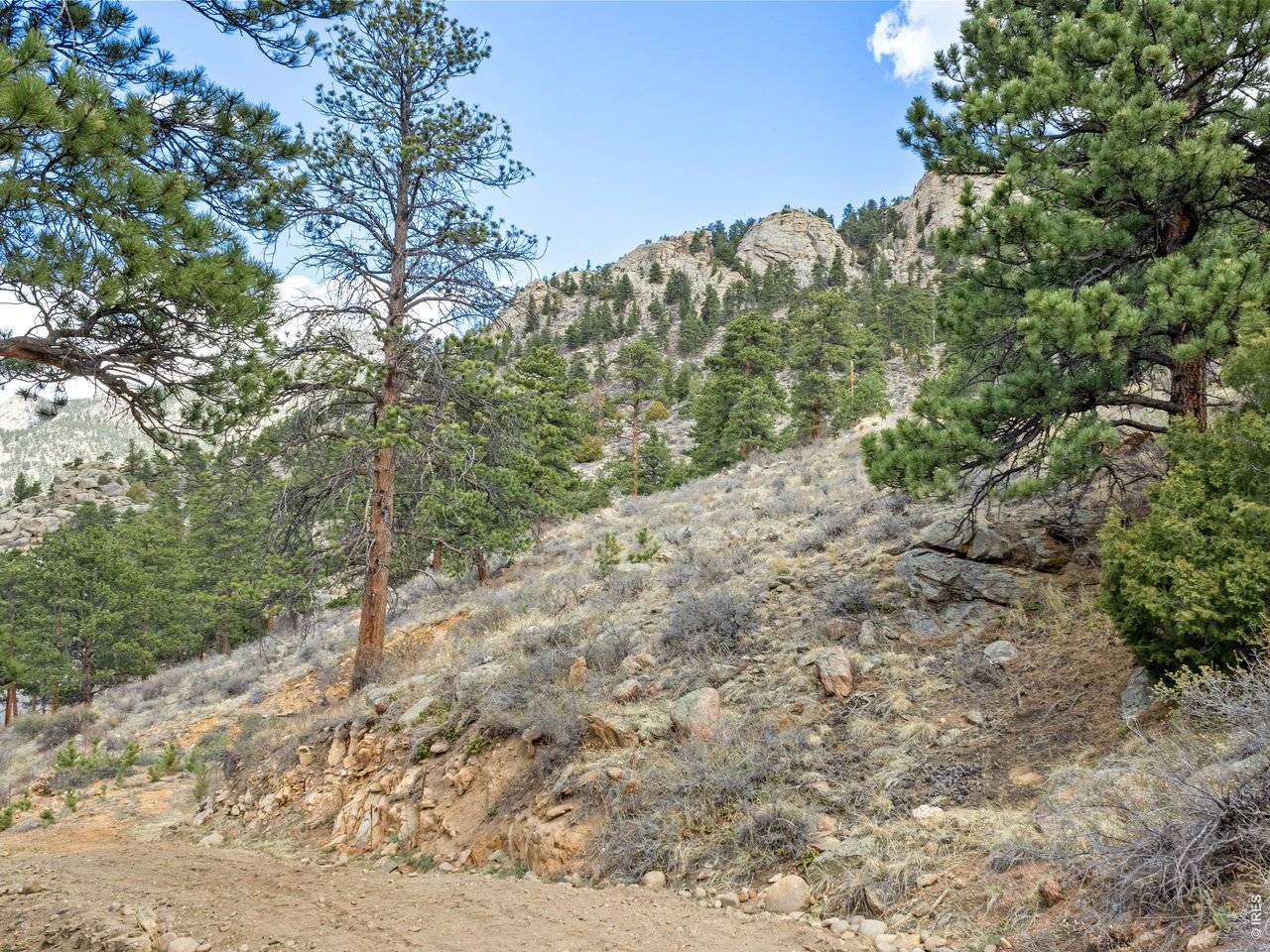 825 Castle Mountain, Estes Park, CO 80517