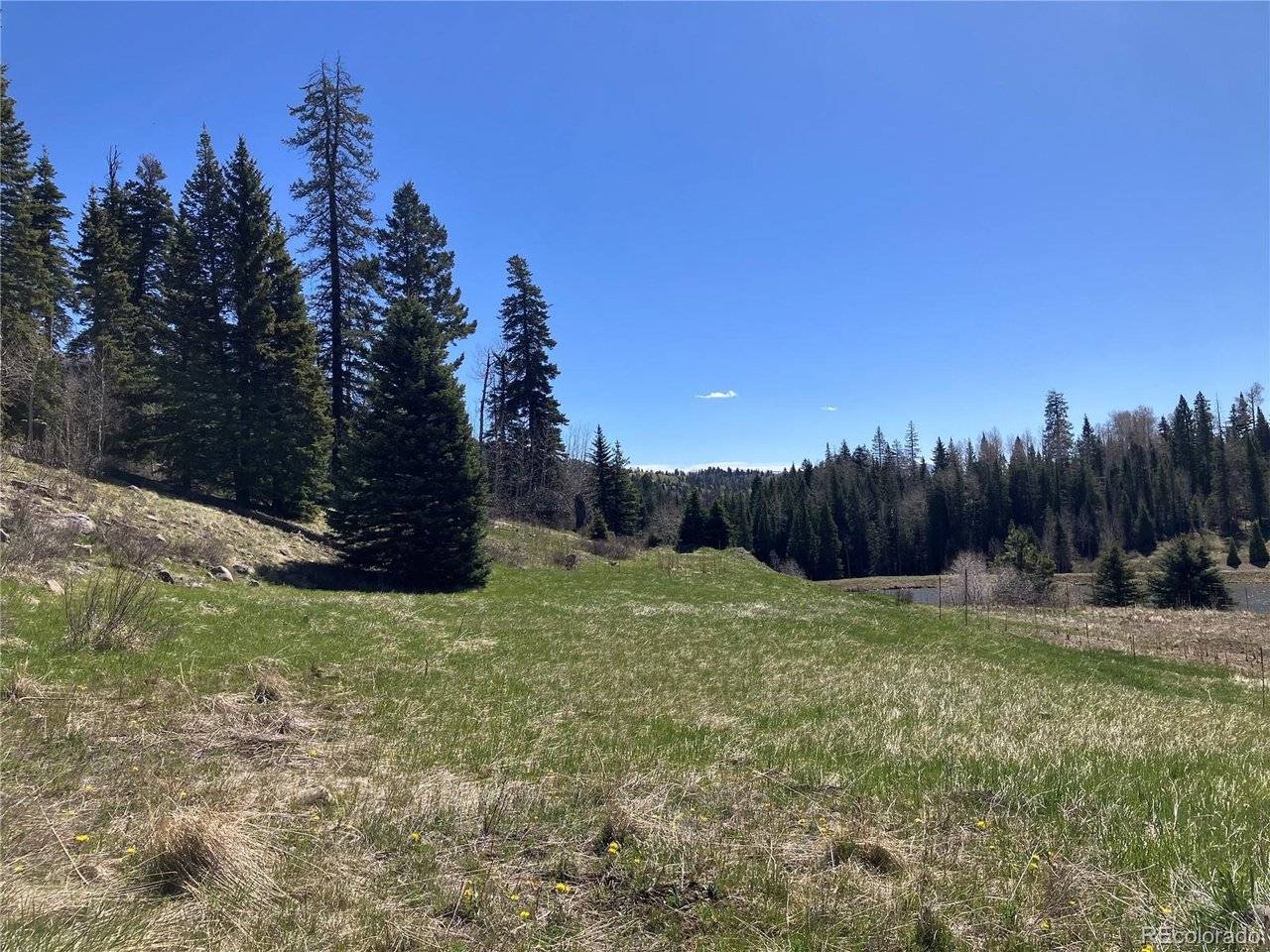 222 Lost Valley, Creede, CO 81130