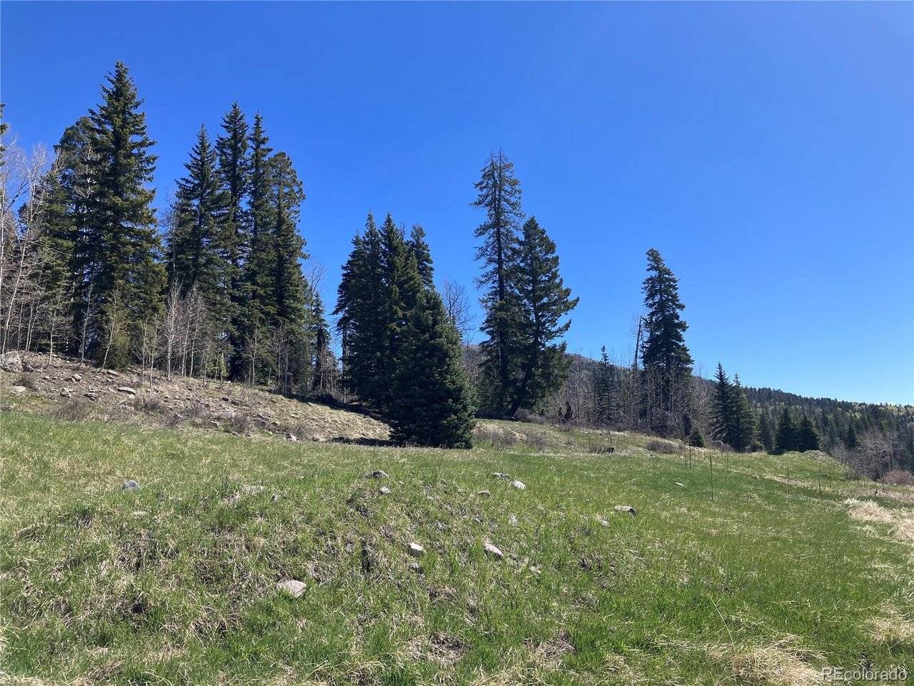 222 Lost Valley, Creede, CO 81130