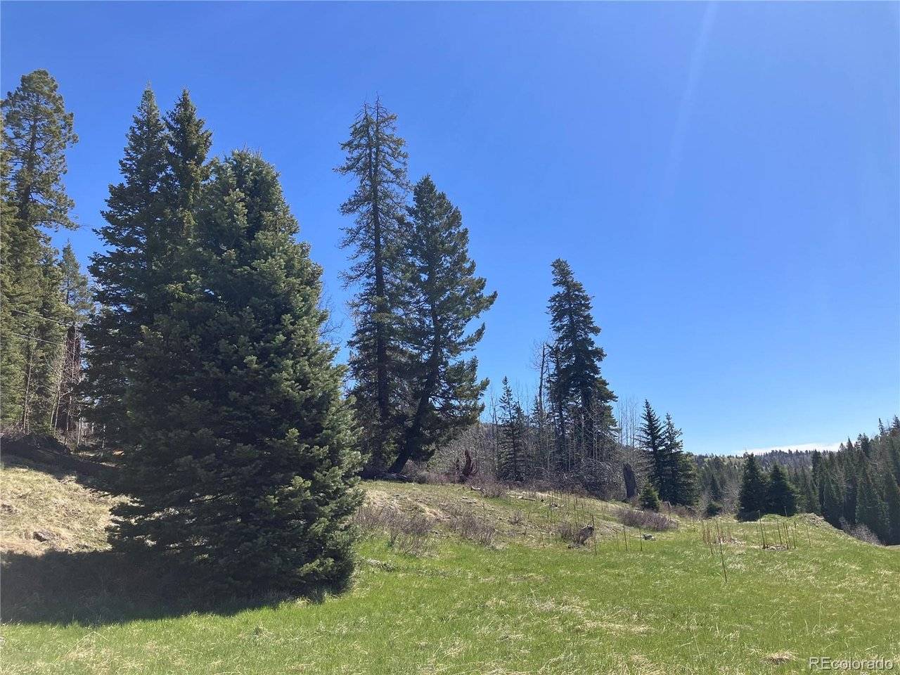 222 Lost Valley, Creede, CO 81130